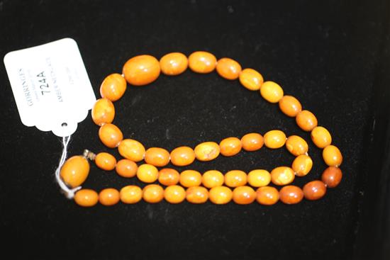 A single strand graduated oval amber bead necklace, 20.5in.